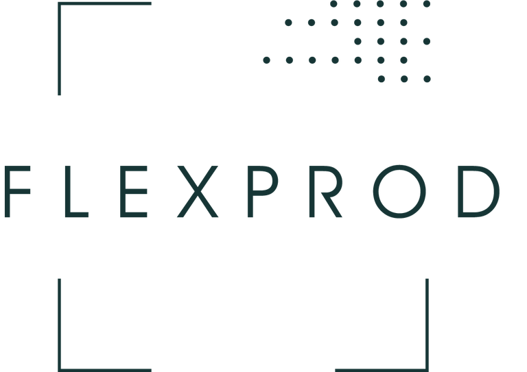 Logo FlexProd